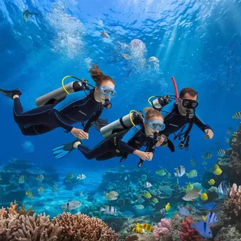 Подарочный сертификат «Индивидуальный курс дайвинга PADI Open Water Diver» (1 курс, 1 человек индивидуально)