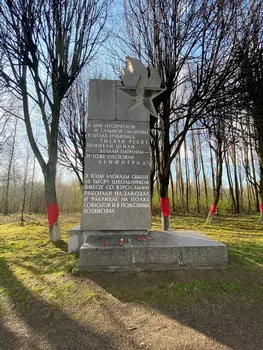 Подарочный сертификат «Экскурсия по Дороге жизни» (7 часов, 1 человек)