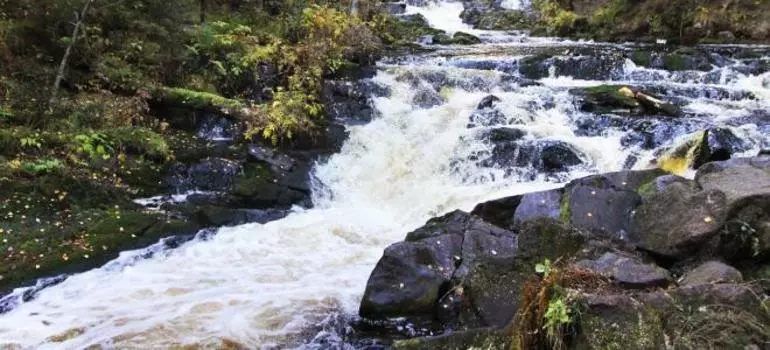 Подарочный сертификат «Карельские выходные ЛАЙТ» (2 дня, 1 человек)