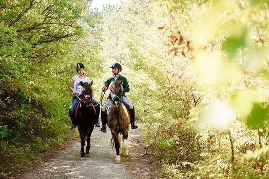 Подарочный сертификат «Конная прогулка» (1 час, 1 человек)