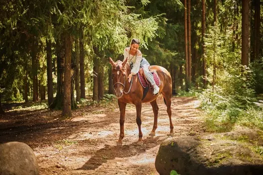 Подарочный сертификат «Конная прогулка» (30 минут, 1 человек)