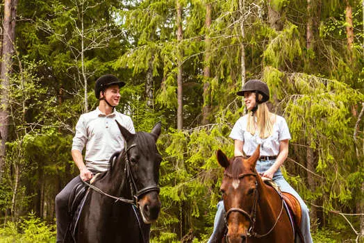 Подарочный сертификат «Конная прогулка» (45 минут, 1 человек)