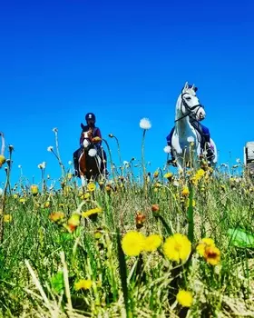 Подарочный сертификат «Конная прогулка по территории парка Русь» (45 минут, 1 человек)