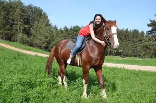 Подарочный сертификат «Конная прогулка с инструктором» (1 час, 1 человек)