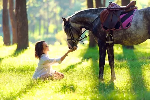 Подарочный сертификат «Конная прогулка Троицкое» (1 час, 1 человек)