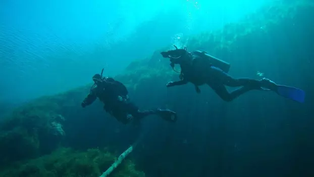 Подарочный сертификат «Курс по дайвингу PADI Open Water Diver» (1 курс, 1 человек)