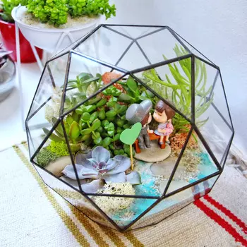 Подарочный сертификат «Мастер-класс для двоих Домашняя оранжерея» (1,5 - 2 часа, 2 человека)