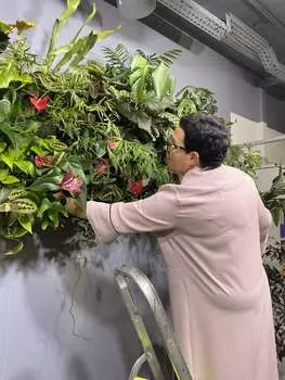 Подарочный сертификат «Мастер класс Фитодизайн помещений» (3 дня, 1 человек)