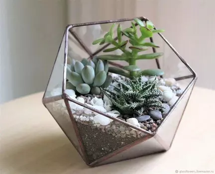 Подарочный сертификат «Мастер-класс Флорариум» (Пакет №1, 1 человек в составе группы)