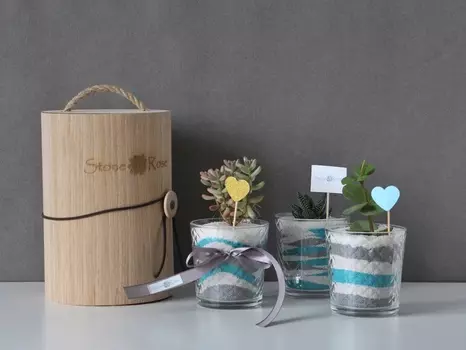 Подарочный сертификат «Мастер-класс флорариум Живая радуга» (1 час 30 минут, 1 человек)