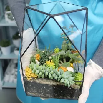 Подарочный сертификат «Мастер-класс Геометрическая оранжерея: Мини Чаша/Бриллиант/Венера» (Пакет №1, 1 человек)