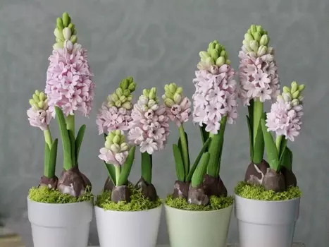 Подарочный сертификат «Мастер-класс по лепке из японской зефирной глины Гиацинт» (3 часа, 1 человек)