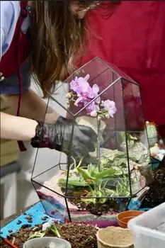 Подарочный сертификат «Мастер-класс Создание флорариума» (Пакет №1, 1 человек)