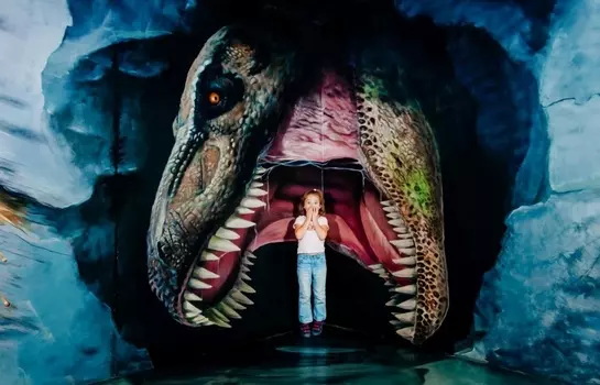 Подарочный сертификат «Музей оптических иллюзий» (1 сеанс, 1 чел., ПН)