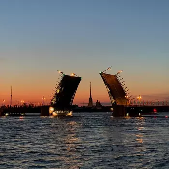 Подарочный сертификат «Ночная обзорная экскурсия с теплоходной прогулкой и разведением мостов» (7 часов 30 минут, 1 человек в составе группы)