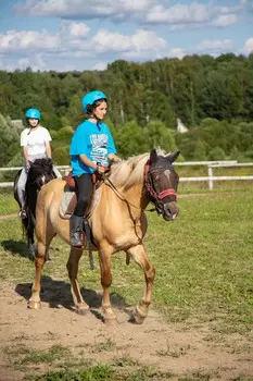 Подарочный сертификат «Обучение верховой езде» (1 занятие, 1 человек)
