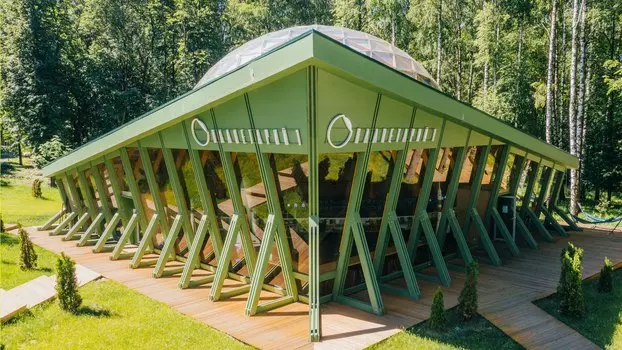 Подарочный сертификат «Посещение сеанса в Планетарии 1» (50 минут, 1 человек)