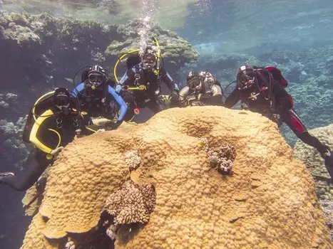 Подарочный сертификат «Пробное погружение с выдачей сертификата» (1 час 30 минут, 1 человек)