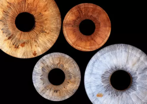 Подарочный сертификат «Семейное фото радужки глаз в Балашихе» (1 час, 3 человека)