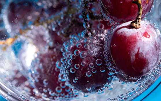 Подарочный сертификат «СПА-программа Винная симфония» (2 часа, 1 человек)