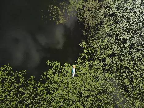 Подарочный сертификат «SUP прогулка по реке Сестра» (1 час 30 минут, 1 человек)