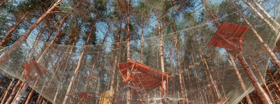 Подарочный сертификат «Верёвочный парк» (30 минут, 1 ребенок)