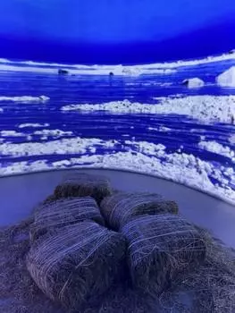 Подарочный сертификат «Выставка Большая страна и два мастер класса» (180 минут, 2 человека в составе группы)