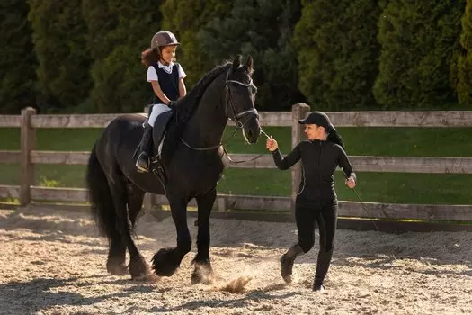 Подарочный сертификат «Занятие верховой ездой» (8 занятий, 1 человек)