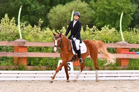 Подарочный сертификат «Занятия по верховой езде» (Пакет №1, 1 человек (будни))