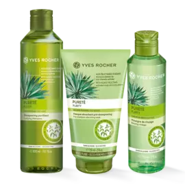 Трио «Очищение»