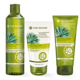 Трио «Очищение и защита»