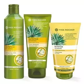 Трио «Питание»