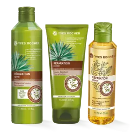 Трио «Восстановление»