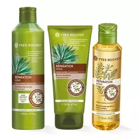 Трио «Восстановление»