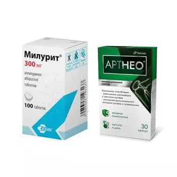 1X Милурит таблетки 300мг 100шт + 1X Артнео капсулы 30шт