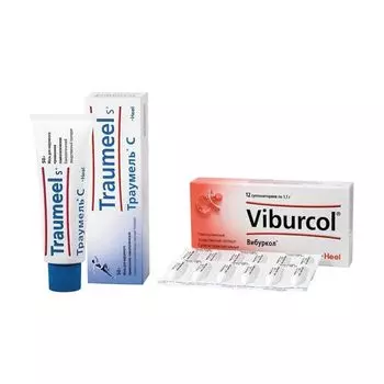 1X Вибуркол суппозитории ректальные 12шт + 1X Траумель С мазь 50г