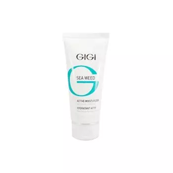 Крем увлажняющий активный Active Moisturizer Gigi/Джиджи 100мл