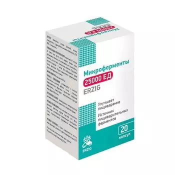 Микроферменты Erzig капсулы 25000ЕД 480мг 20шт
