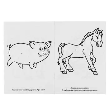 Раскраска А5 малый формат по номерам Домашние животные УМка 145х210мм 16стр