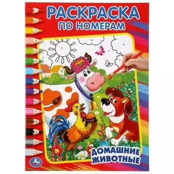 Раскраска по номерам Домашние животные УМка 214х290мм 16стр