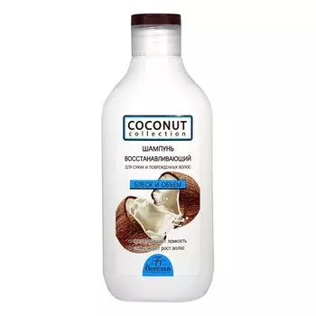 Шампунь для сухих и поврежденных волос восстанавливающий Floresan/Флоресан 300мл