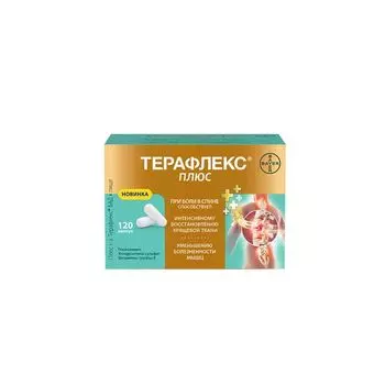 Терафлекс Плюс капсулы 740мг 120шт