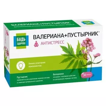 Валериана+Пустырник комплекс экстракта Будь Здоров! капсулы 395мг 90шт