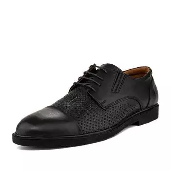 Дерби мужские ZENDEN