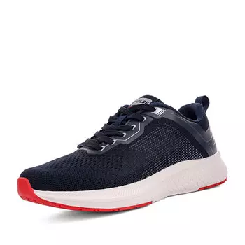 Кроссовки мужские Pulse