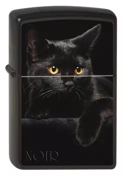 Зажигалка матовая ZIPPO 218 CAT