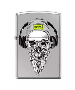 Зажигалка ZIPPO 250_hipster