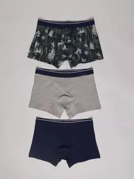 Набор трусов (3 шт. в комплекте)