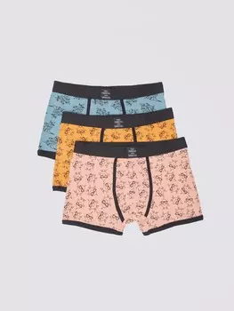 Набор трусов (3 шт. в комплекте)