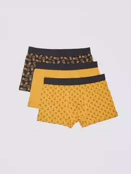 Набор трусов (3 шт. в комплекте)
